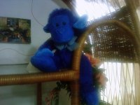 Ramona Candelaria