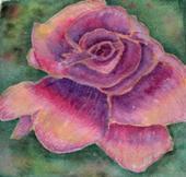 Ann Kays