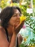 Dawn Acevedo