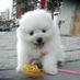 Didi Cheng