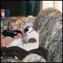 Jennifer Bales