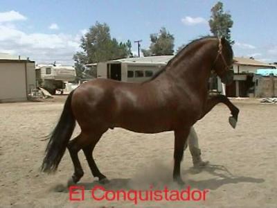 Eduardo Vilchez