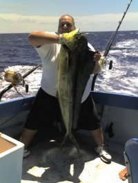 Steven Kauaihilo