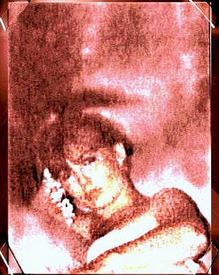 Catherine Miele