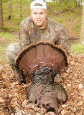 Matthew Hays