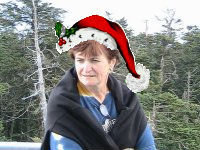Gwendolyn Mccarthy