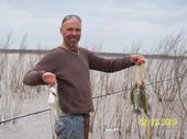 Harold Mccleskey