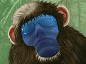 Sean Walsh