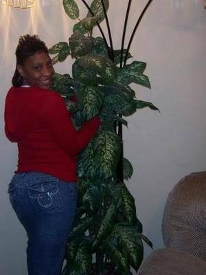 Shalanda Austell
