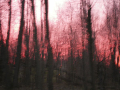 Jason Mohn