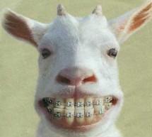 Shawn Gressel