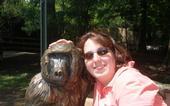 Ann Hebert