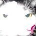 Winnifred Louie