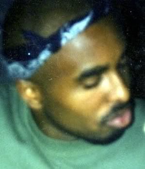 Lorenzo Dcollins
