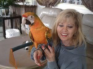 Lori Lipton