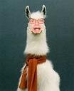 Reed Dieffenbach