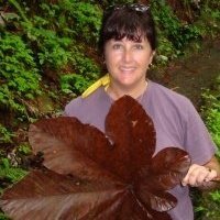 Christy Bencivenga-Burns