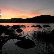 Lisa Garey Holm