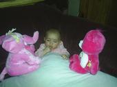 Stacy Kimlin