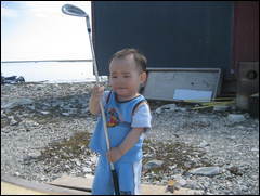 Ray Netser