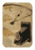 Irene Suver
