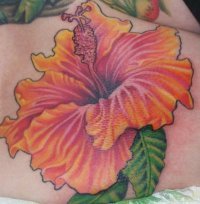 Cynthia Delong