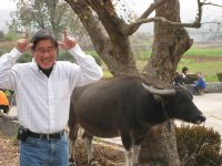 Arthur Szu-Tu