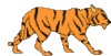 Kuldip Singh