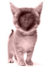 Alliyah Barrentine
