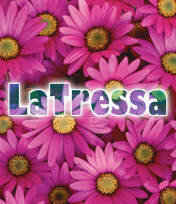 Latressa Avery