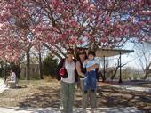 Cheryl Wilson