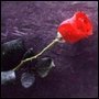 Rose Wegner