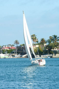 Ruben Gurule