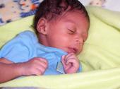 Shandrell Willis