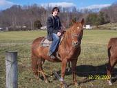 Allen Downs