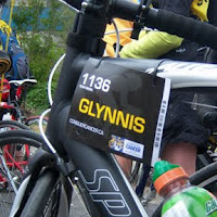 Glynnis Waters