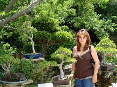 Patricia Laine