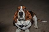 Keppy Boone