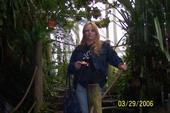 Phyllis Chambers