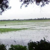 Abdus Chowdhury