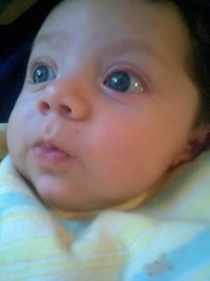 Syed Ali