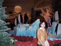 Changna Wang