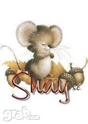 Sharon Younker