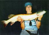 Lori Whittle