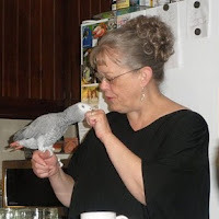 Hollis Blinn