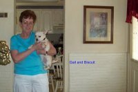 Gail Dontigney