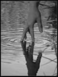 Laurie Lenard