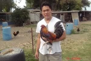 Estelito Buyson