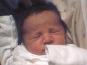 Loretta Lhamri