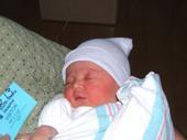 Andrea Bradley